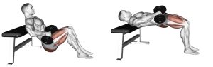 dumbbell elevated hip thrusts