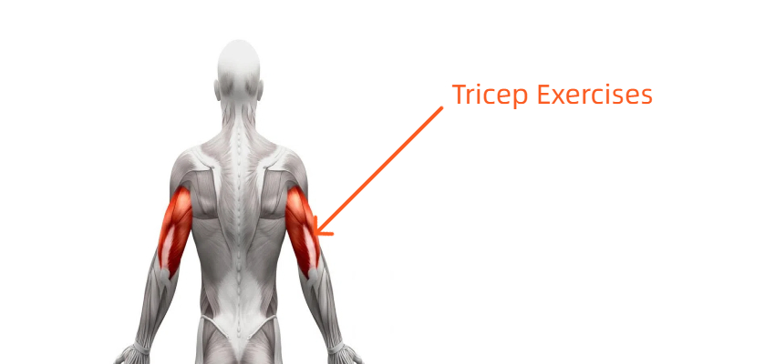 dumbbell tricep exercises