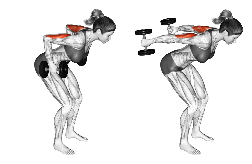 dumbbell triceps kickback dumbbell tricep exercises