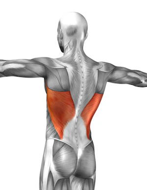 grip actually hits the lats best