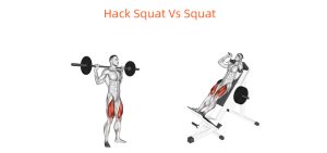 hack squat vs squat