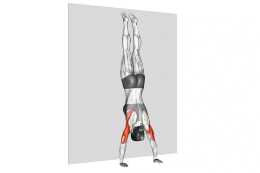 handstand push up alternative for beginners Wall Walks