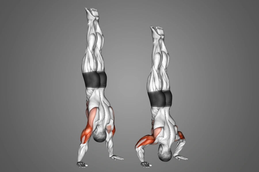 handstand push up alternative for beginners