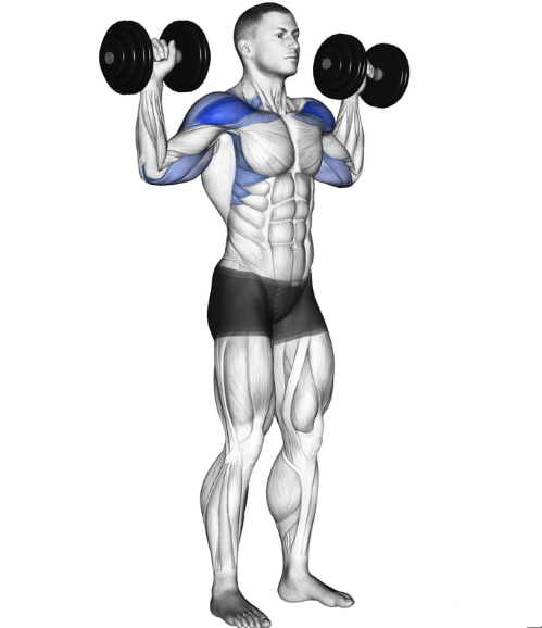 Dumbbell Shoulder Exercises Standing Dumbbell Press