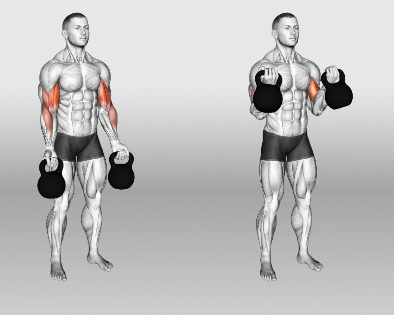 kettlebell bicep curl upper body kettlebell workout