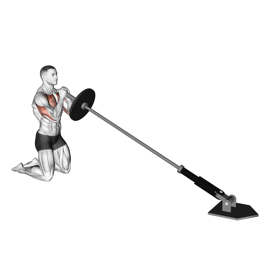 landmine press barbell strict press variations