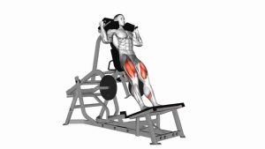 leverage squat machine