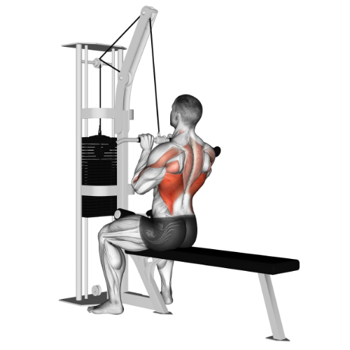neutral grip lat pulldown lat pulldown grip variations