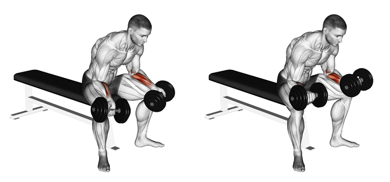 palms-up wrist curl