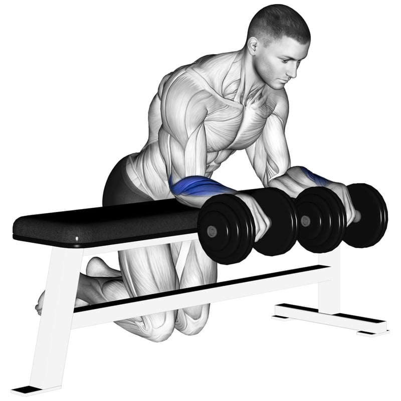 reverse dumbbell wrist curl best forearm workouts with dumbbells
