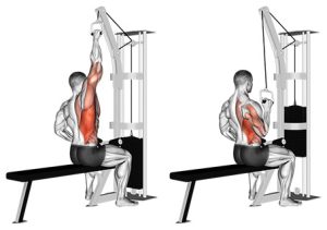 single arm lat pulldown lat pulldown grip variations