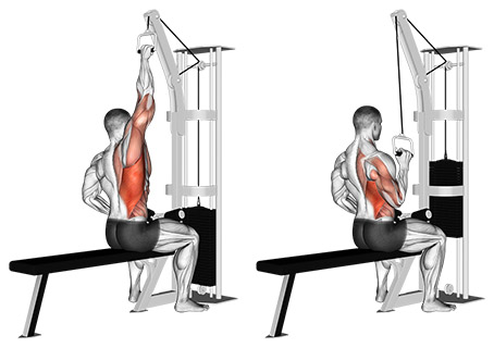 single arm lat pulldown lat pulldown grip variations