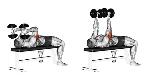 skull crusher (with dumbbells) dumbbell tricep exercises