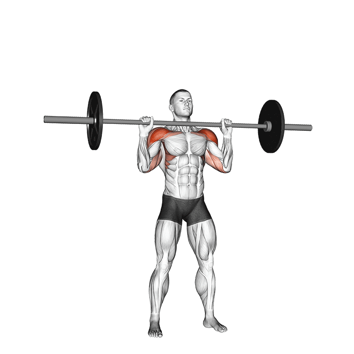 strict military press barbell