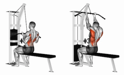 supinated lat pulldown