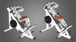 power squat machine