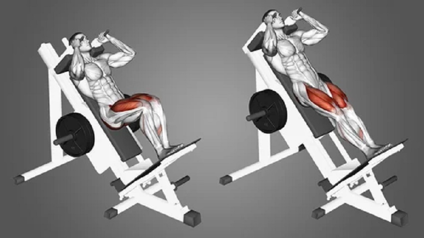 power squat machine