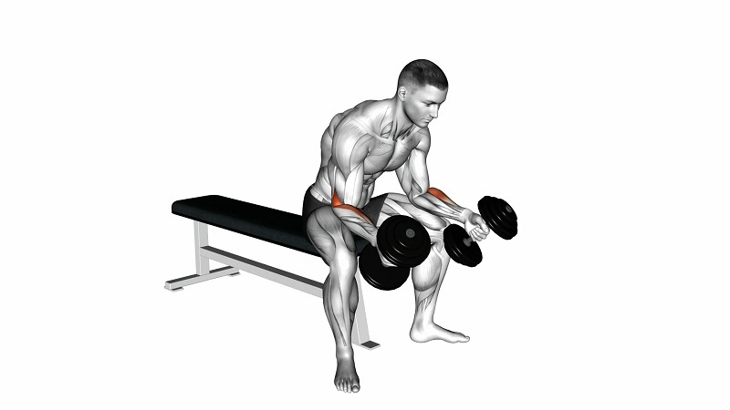 wrist curl dumbbell best forearm workouts with dumbbells