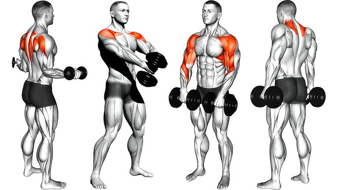 Back And Shoulder Workout to Build Muscle
