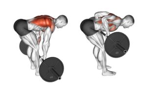 Barbell Row (Bent Over Row)