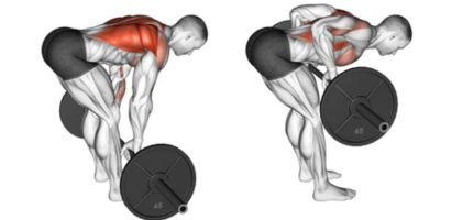 Barbell Row (Bent Over Row)