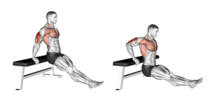 Bench Dips