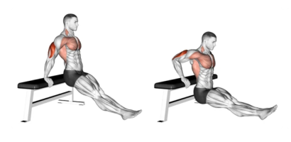 Bench Dips