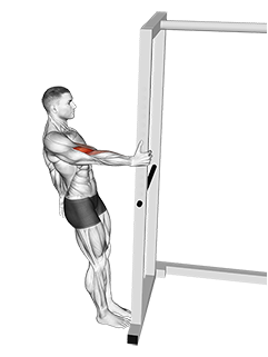 Bodyweight Curls