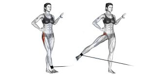 Cable Hip Abductions