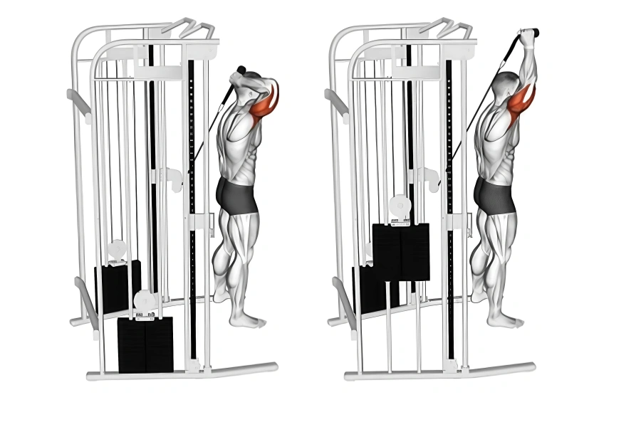 Cable Overhead Triceps Extension