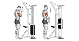 Cable Single Arm Tricep Extensions