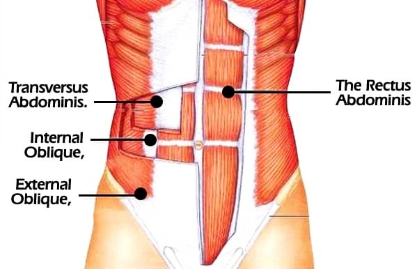 Causes of Lower Back Pain After Squats