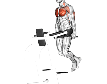 Chest-Dip