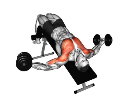 Decline Dumbbell Fly