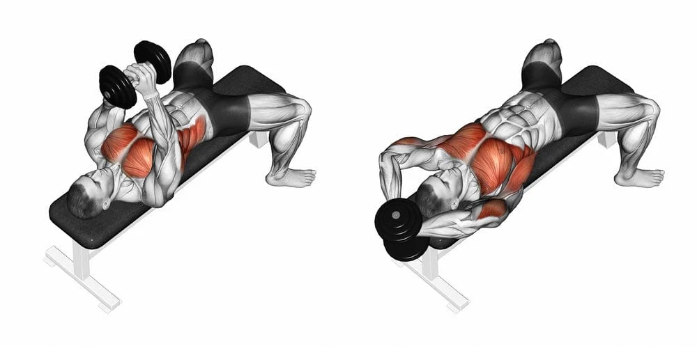 Do Dumbbell Pull Over Instructions Tips