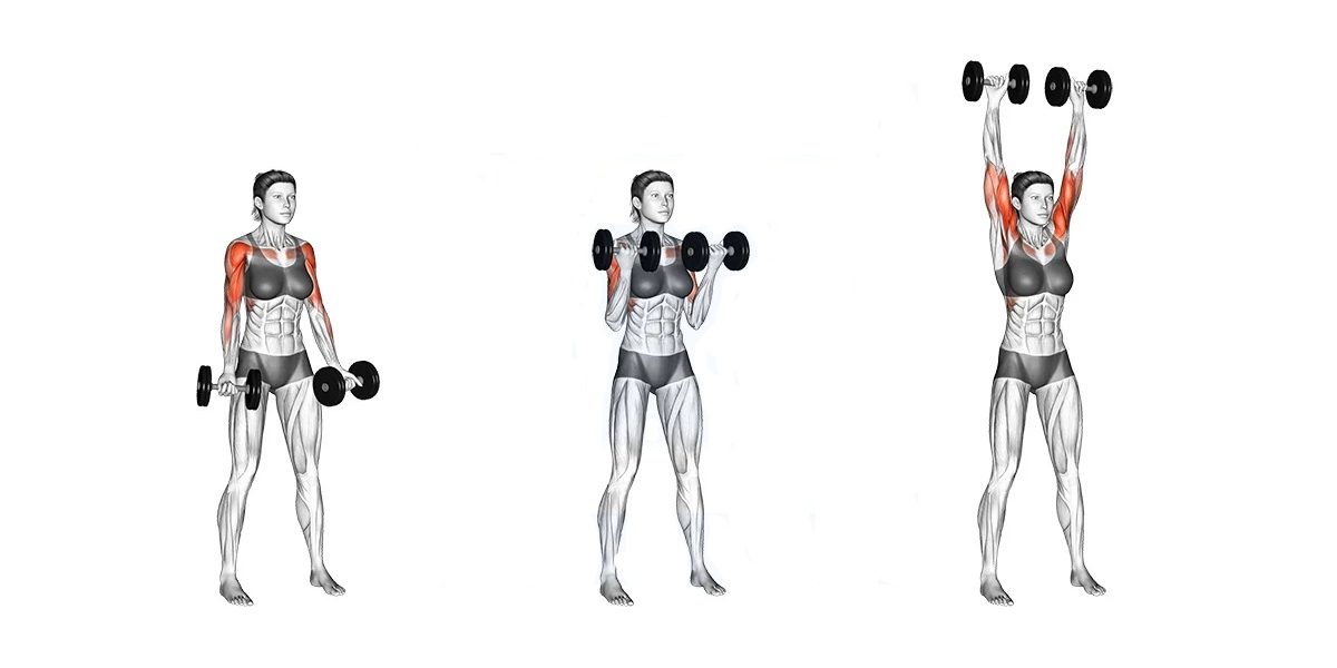 Dumbbell Curl to Press