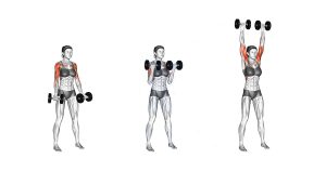 Dumbbell Curl to Press