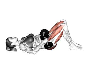 Dumbbell Glute Bridge
