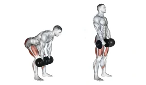 Dumbbell Romanian Deadlift