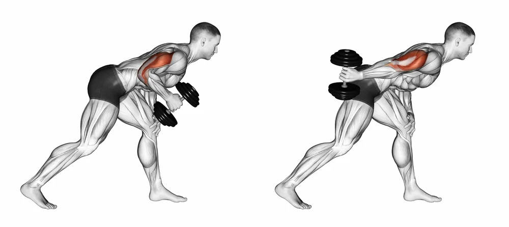 Dumbbell Triceps Kickback
