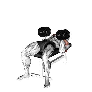 Dumbbell bench (with a twist)
