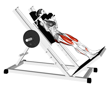 Hack Squats
