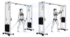 How to Cable Pec Fly Growth Muscle