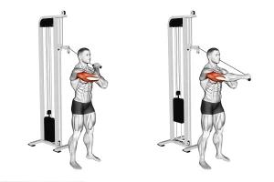 How to Do the Overhead Triceps Extension and Its Best Variations
