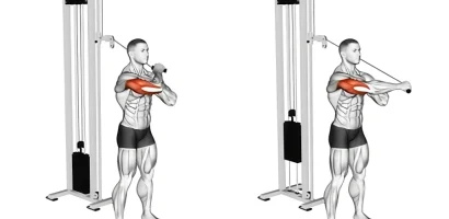 How to Do the Overhead Triceps Extension and Its Best Variations