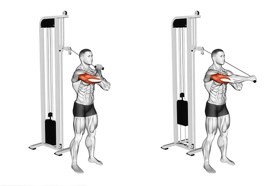 How to Do the Overhead Triceps Extension and Its Best Variations