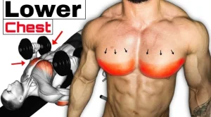 How to Exercise Lower Chest