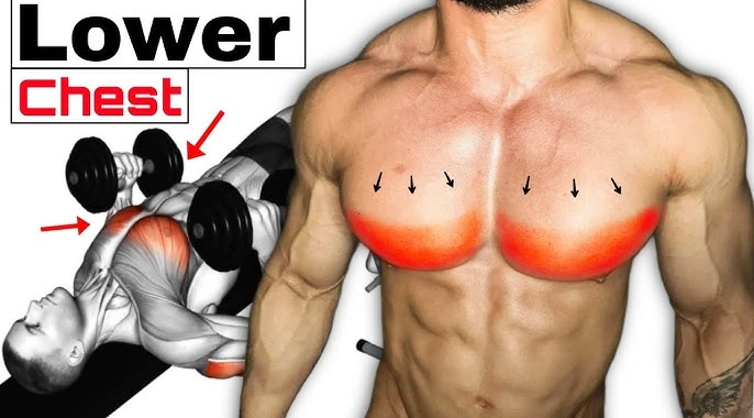 How to Exercise Lower Chest