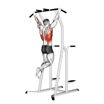 How to Use the Pull Up Machine Correctly