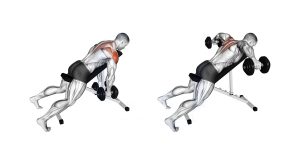 Incline Bench Rear Delt Raise